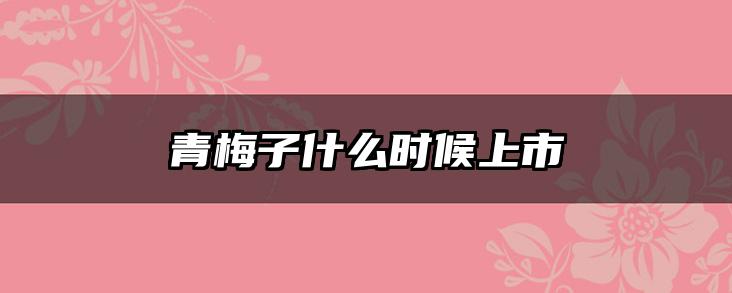 青梅子什么时候上市
