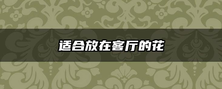 适合放在客厅的花