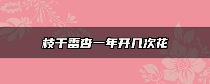 枝干番杏一年开几次花