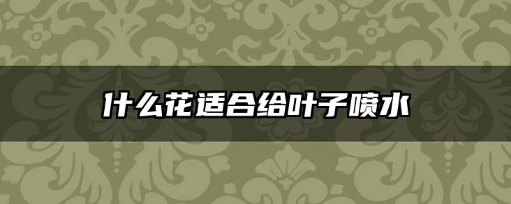 什么花适合给叶子喷水