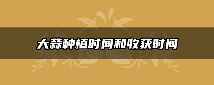 大蒜种植时间和收获时间