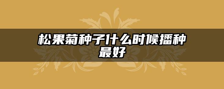 松果菊种子什么时候播种最好