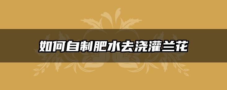 如何自制肥水去浇灌兰花