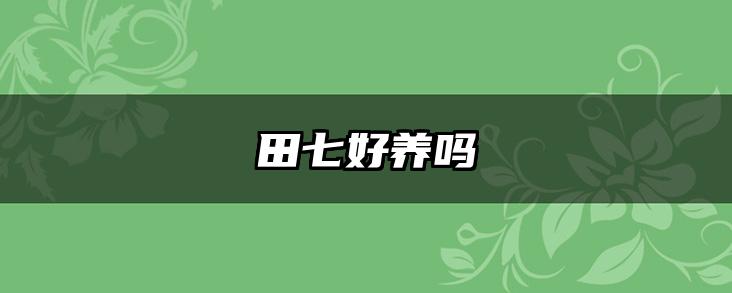 田七好养吗