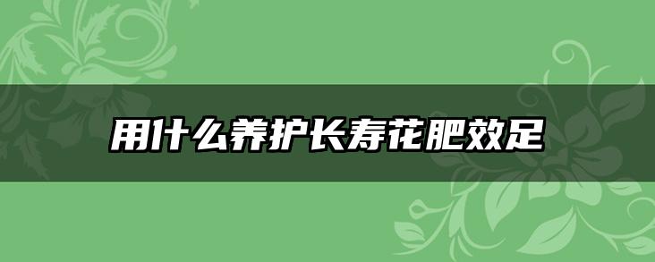 用什么养护长寿花肥效足