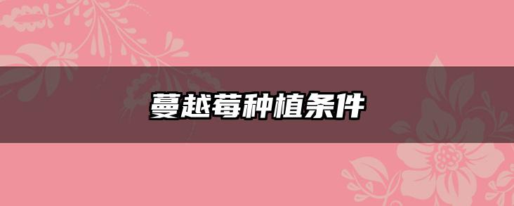 蔓越莓种植条件