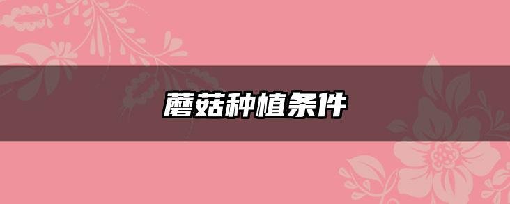 蘑菇种植条件