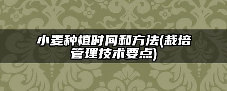 小麦种植时间和方法(栽培管理技术要点)