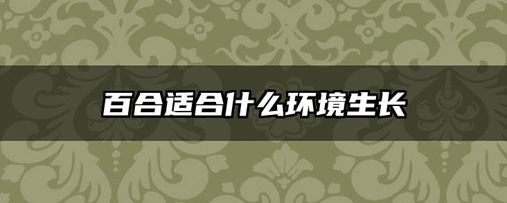 百合适合什么环境生长