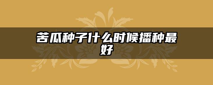 苦瓜种子什么时候播种最好
