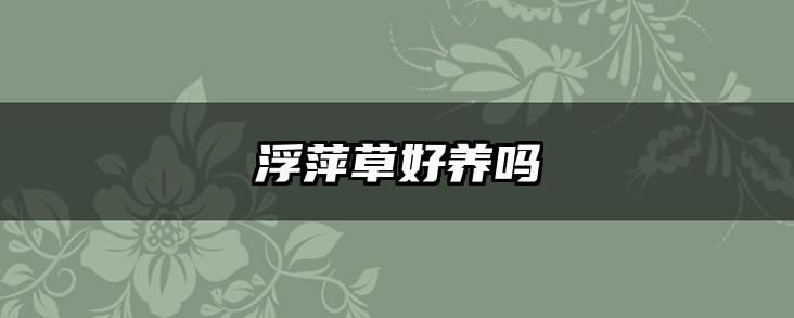浮萍草好养吗