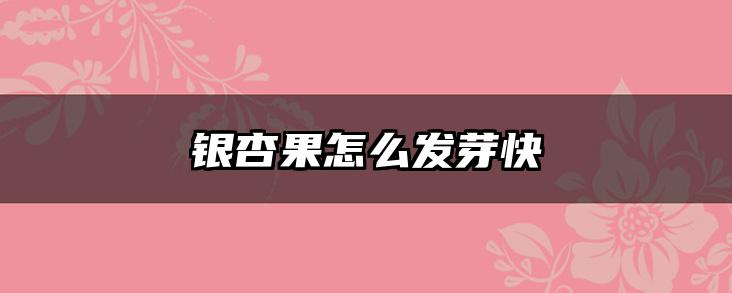 银杏果怎么发芽快