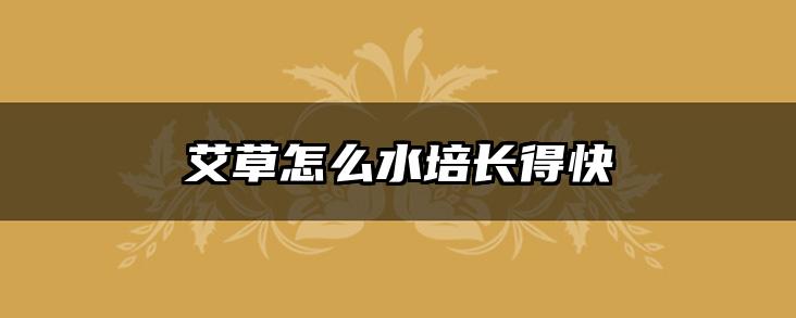 艾草怎么水培长得快