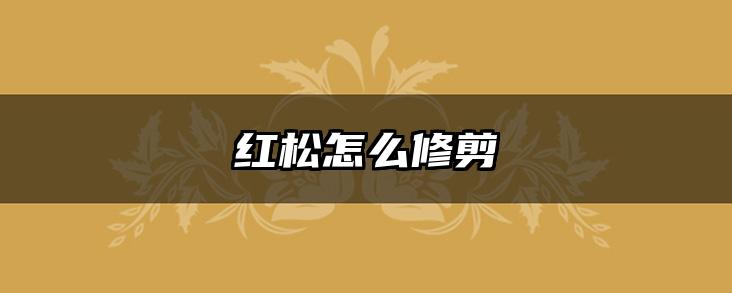 红松怎么修剪