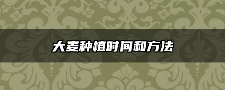 大麦种植时间和方法