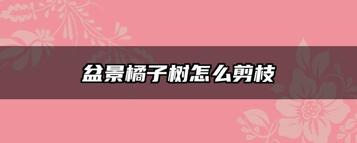 盆景橘子树怎么剪枝