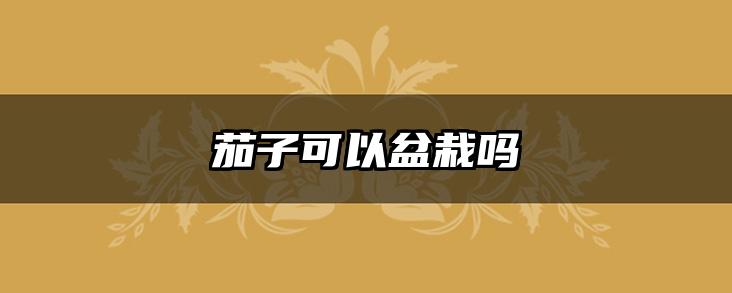 茄子可以盆栽吗