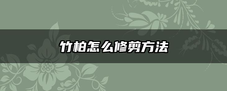 竹柏怎么修剪方法