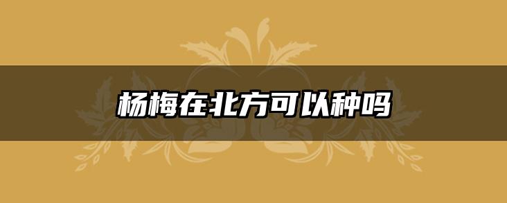 杨梅在北方可以种吗