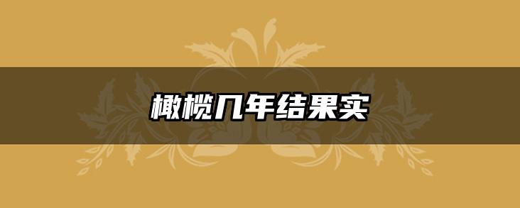 橄榄几年结果实