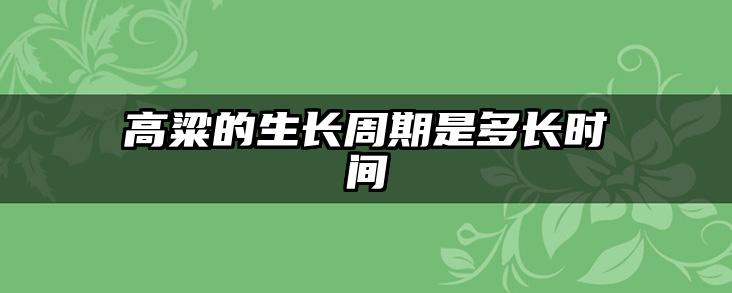 高粱的生长周期是多长时间