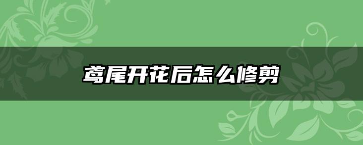 鸢尾开花后怎么修剪