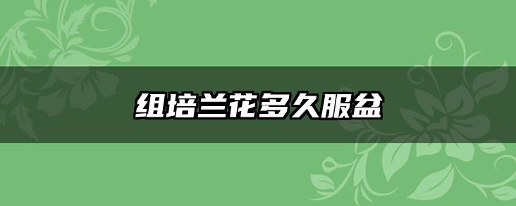 组培兰花多久服盆