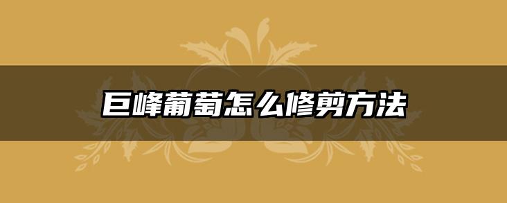 巨峰葡萄怎么修剪方法