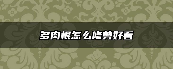 多肉根怎么修剪好看
