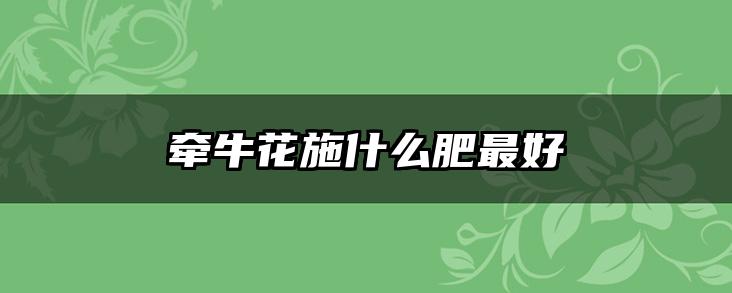 牵牛花施什么肥最好