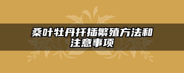 桑叶牡丹扦插繁殖方法和注意事项