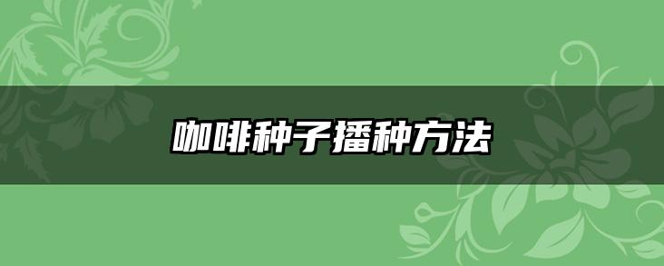咖啡种子播种方法