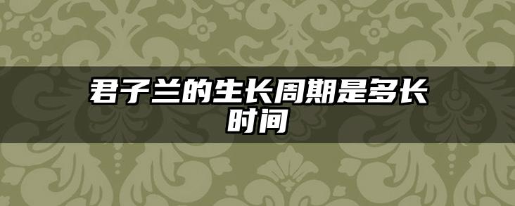 君子兰的生长周期是多长时间