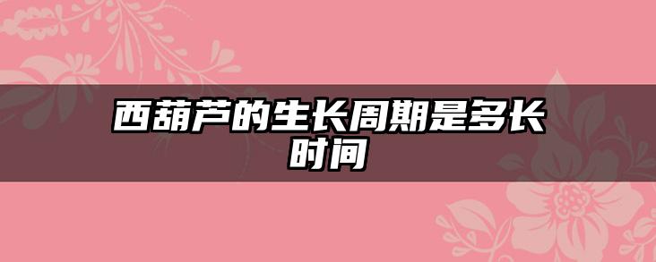 西葫芦的生长周期是多长时间