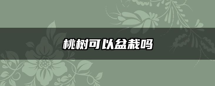 桃树可以盆栽吗