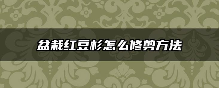 盆栽红豆杉怎么修剪方法