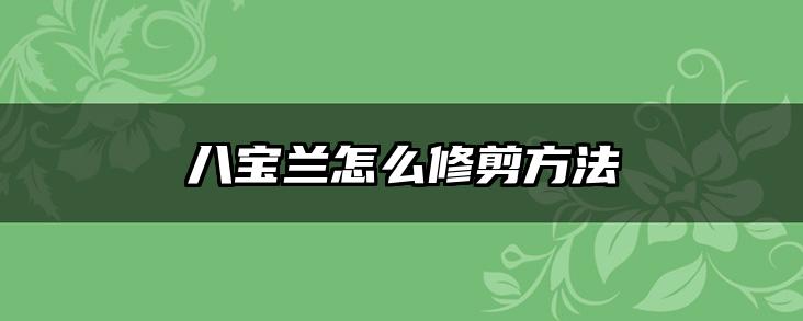 八宝兰怎么修剪方法