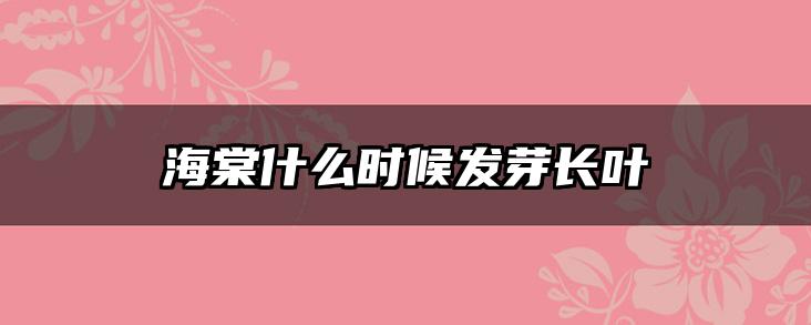 海棠什么时候发芽长叶