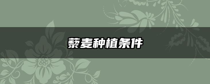 藜麦种植条件