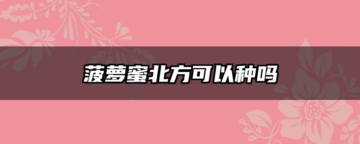 菠萝蜜北方可以种吗