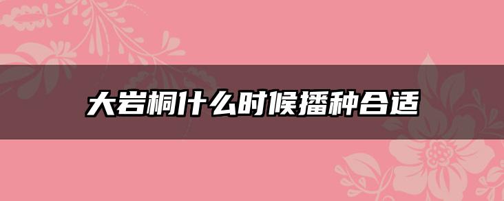 大岩桐什么时候播种合适