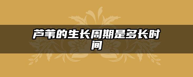 芦苇的生长周期是多长时间