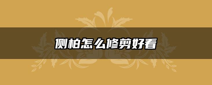 侧柏怎么修剪好看