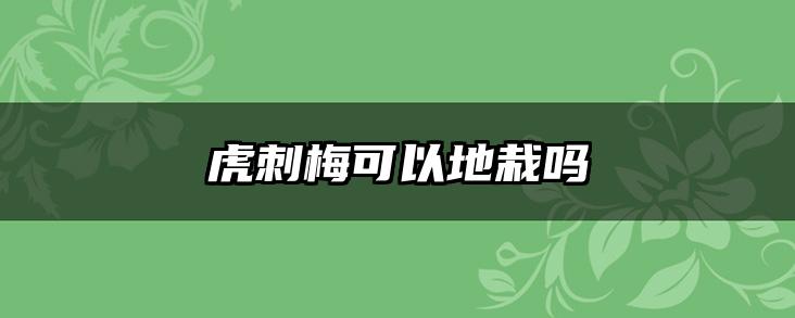 虎刺梅可以地栽吗