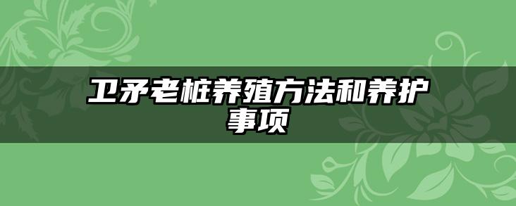 卫矛老桩养殖方法和养护事项