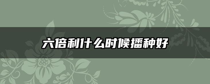 六倍利什么时候播种好