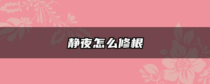 静夜怎么修根