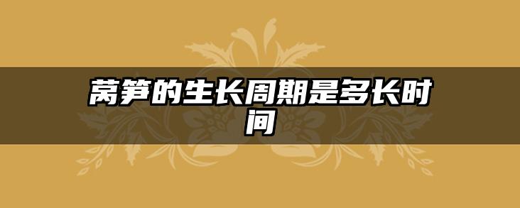 莴笋的生长周期是多长时间