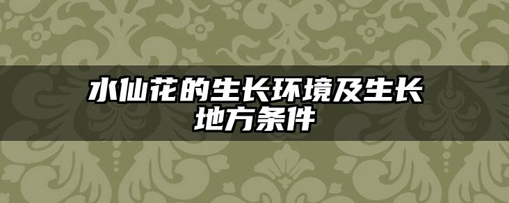 水仙花的生长环境及生长地方条件