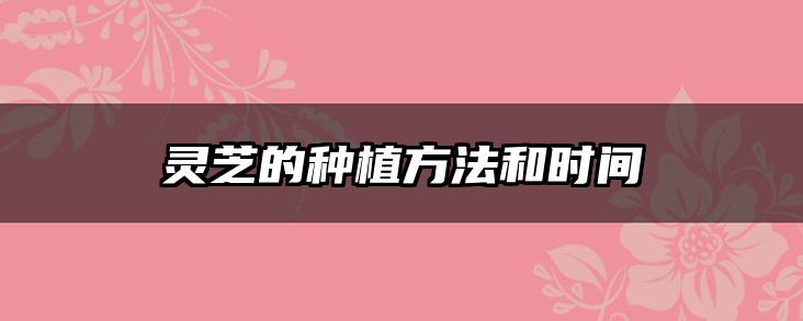 灵芝的种植方法和时间